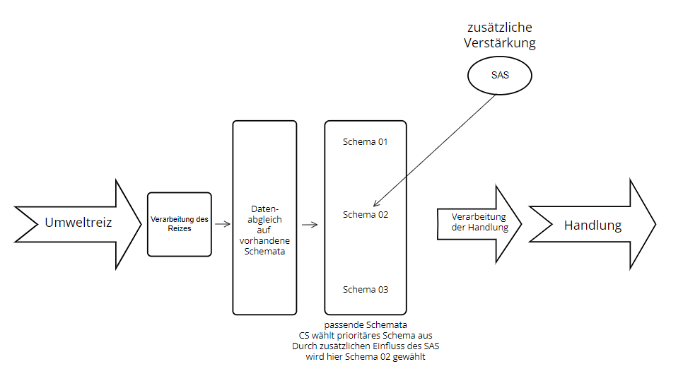 Abbildung 1: Das komplette System (eigene Darstellung nach Norman & Shallice, 1986, S. 7)